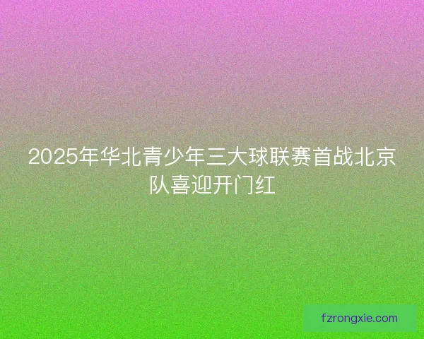 2025年华北青少年三大球联赛首战北京队喜迎开门红 2025年华北青少年三大球联赛首战北京队喜迎开门红