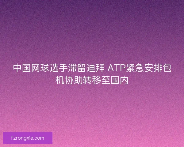 中国网球选手滞留迪拜 ATP紧急安排包机协助转移至国内