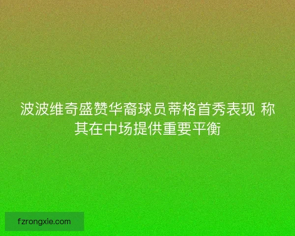 波波维奇盛赞华裔球员蒂格首秀表现 称其在中场提供重要平衡