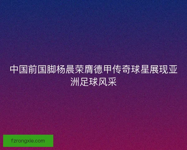 中国前国脚杨晨荣膺德甲传奇球星展现亚洲足球风采